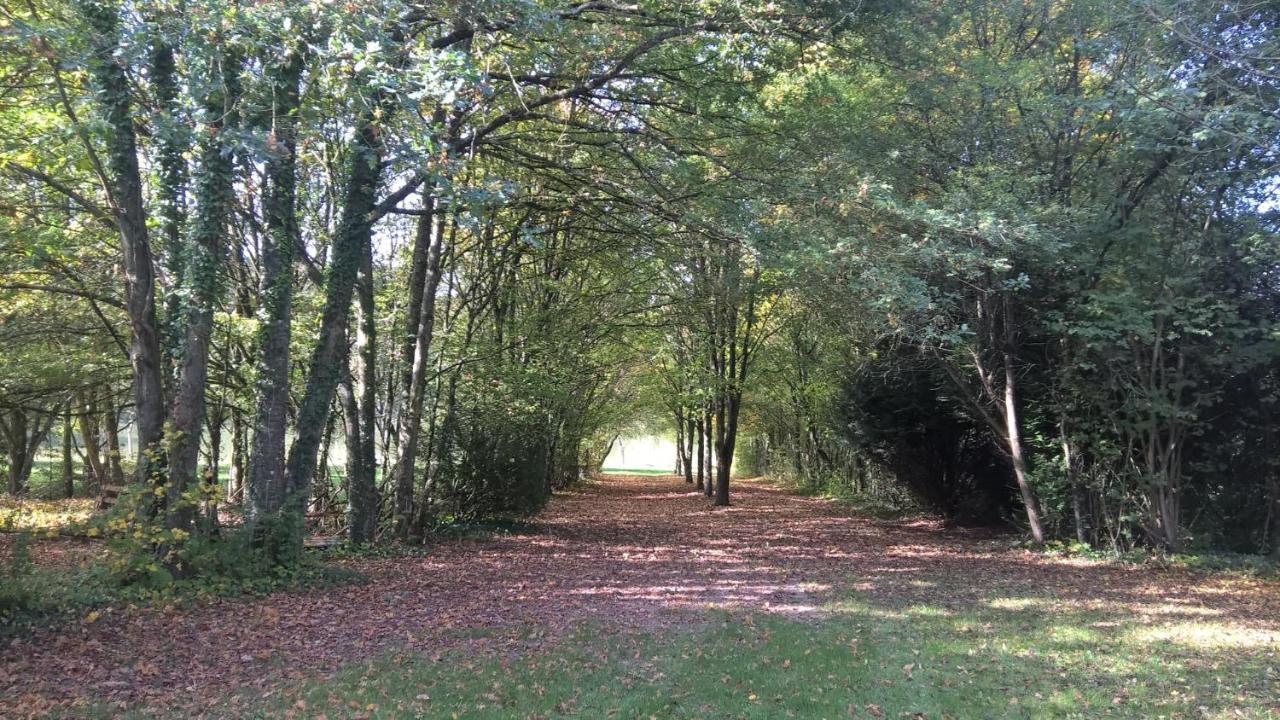 Gite Des Etangs De Beaulieu Le Plessis-Dorin Exterior foto